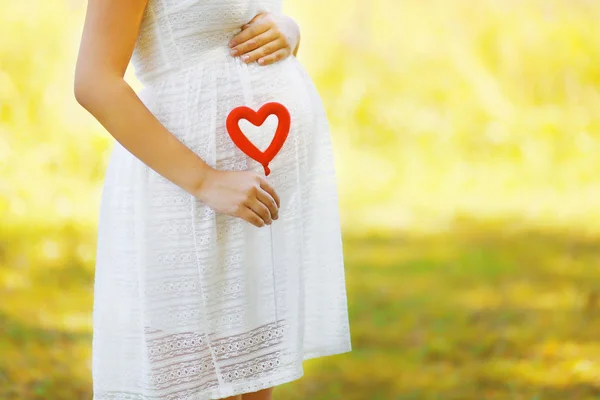 Беременность, материнство и новое семейное понятие - беременная женщина и — стоковое фото