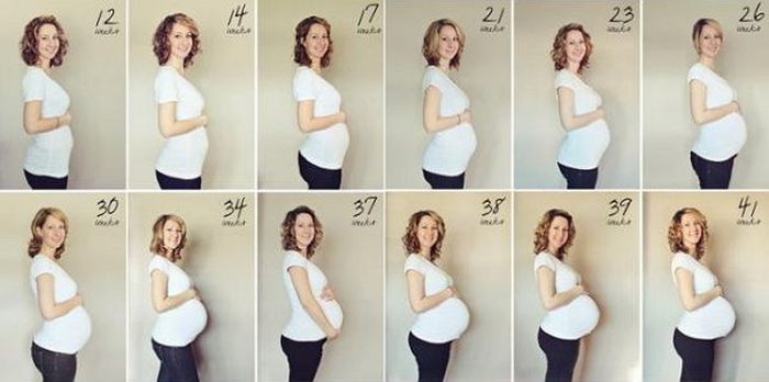 На каком месяце беременности появляется живот: нормы физиологии